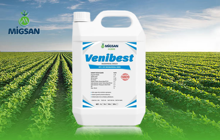 Venibest